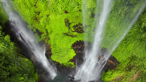 Waterfall in the Rainforest - The Beauty of a Waterfall Among the Lush Green Leaves of a Rainforest