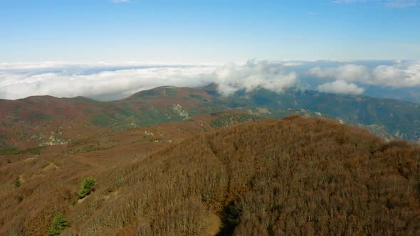 Aspromonte Mountain in Calabria, Autumn