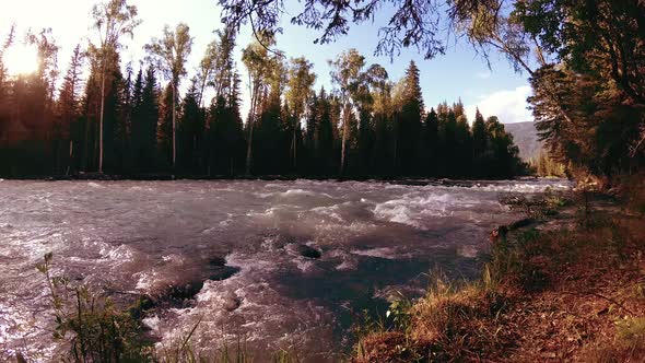 Meadow at Mountain River Bank. Landscape with Green Grass, Pine Trees and Sun Rays. Movement on