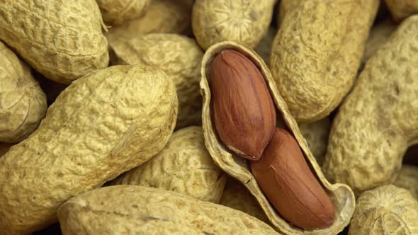 Ground Peanuts Rotate As Background Peanuts in Shells Ground Nuts