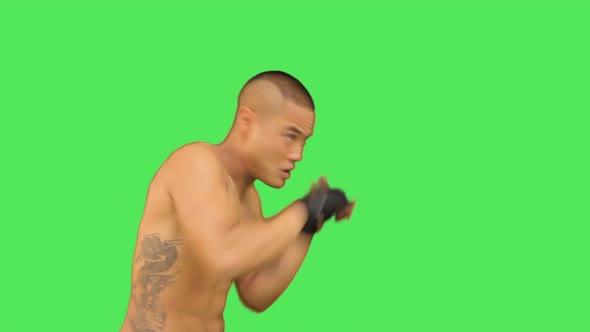 Thai boxer