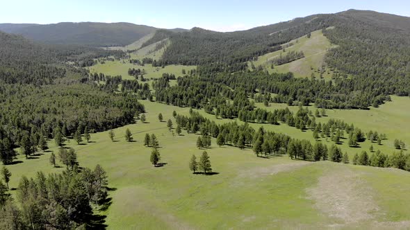 Green Meadows in The Sparsely Wooded Between Forest Covered Hills with Aerial View