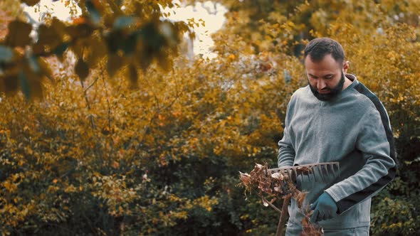 Brunette Man Removing Dry Leaves From the Rake in the Yard
