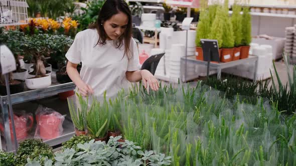 Young Woman in a Plant Store Chooses Seedlings the Concept of New Growth and Nature Conservation