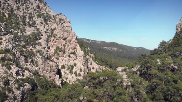 Gigantic rocky mountain peaks with pine tree and spruce forest against clear blue sky