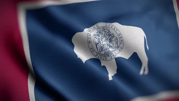 Wyoming State Flag Angle