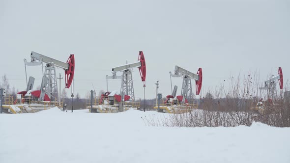 Four oil rockers work in winter on a snow-covered field against the background of a forest.