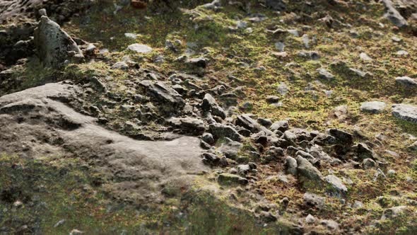 Close Up of Rocky Stones Formation