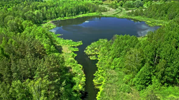 Lake in the forest in summer. Aerial view of Poland