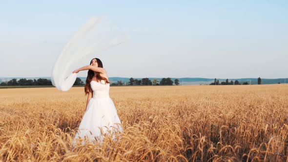 Beautiful Bride in Wheat Field on Sunset