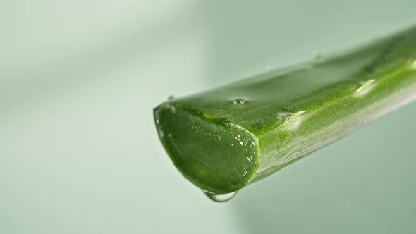 Motion of Dropping a Drop Aloe Vera Liquid From Leaf on Green Blurred Background