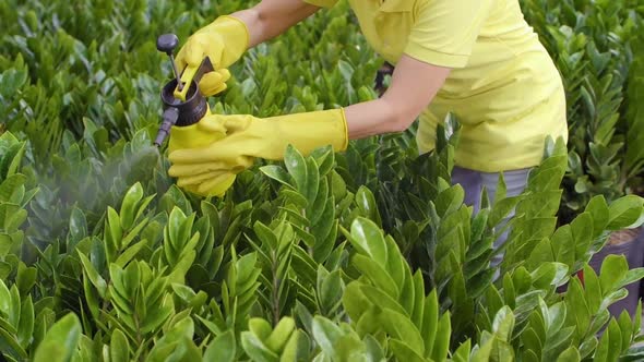 Woman Working in Garden