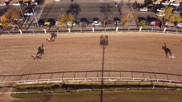 Equestrian horses trotting to the finish line at Hipodromo Buenos Aires