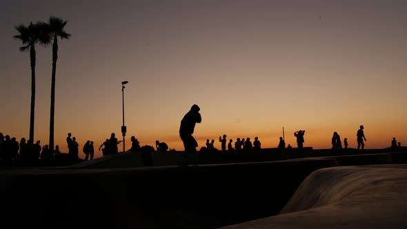 Silhouette of Young Jumping Skateboarder Riding Longboard, Summer Sunset Background, Venice Ocean