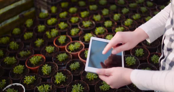Gardener Using Digital Tablet in Greenhouse