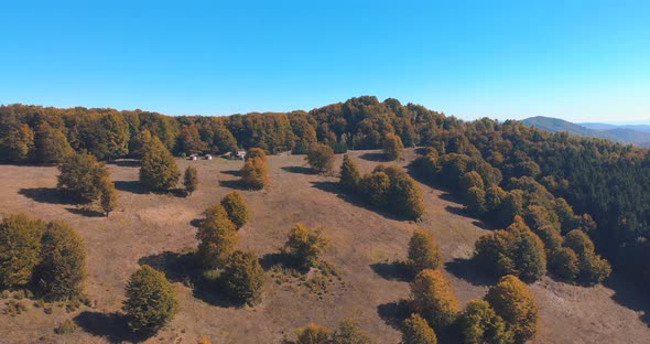 Beautiful open autumn mountain forest under clear blue sky -Aerial