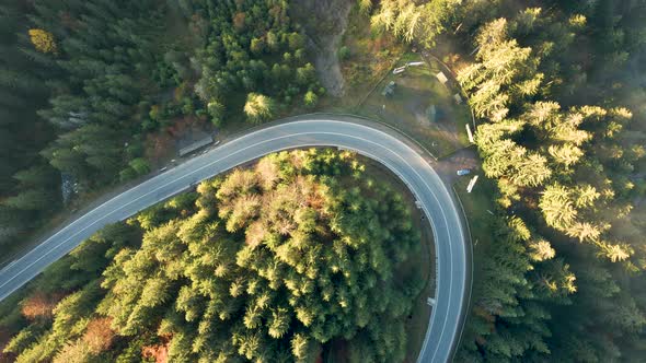 Aerial view og curvy road between evergreen forest with green pine trees in summer mountains.