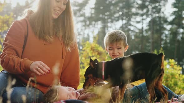 Mom with Her Two Little Kids and Dog Have Fun Outdoors