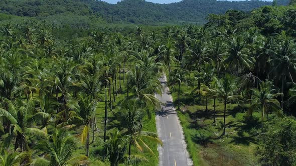 Aerial of an empty road surrounded by Palm Trees at Koh Kood Island, Thailand. Tilt up