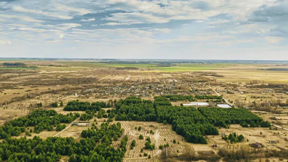 Young Planted Forest. Aerial View Of Forest Strips Landscape In Early Spring Day. Drone View. Bird's