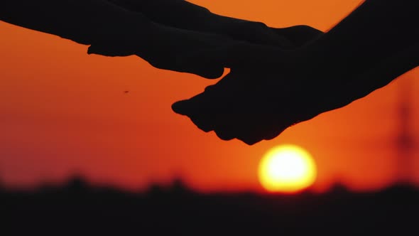 Couple Hold Hands Against the Backdrop of the Setting Sun and the Cityscape