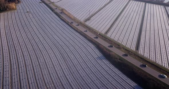 Vehicles Drive Along Road Between Fields Under Agrofibre