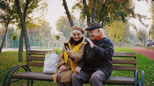 Elderly Spouses Making Video Call By Smartphone Waving Hands Laughing and Talking Sitting on Bench