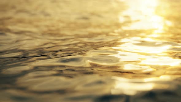 Moving Waves Of Surface Of Sea In The Beautiful Sunlight