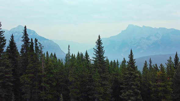 Lake in the Mountains revaled behind forest