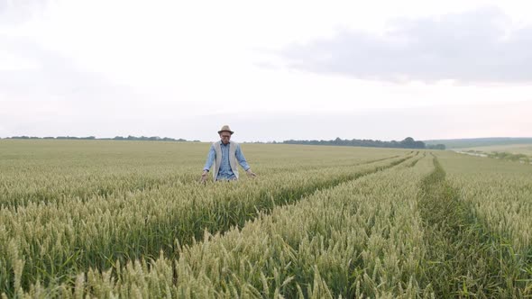 Happy Senior Farmer in Hat Walks in Wheat Field and Touches the Spikelets