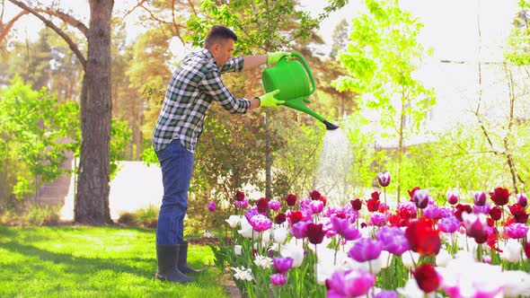 Middle-aged Man Watering Flowers at Garden