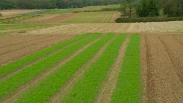 Aerial Pan of Agricultural Fields Farm Land in Long Island