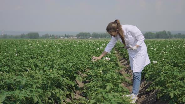 Woman agronomist with tablet computer