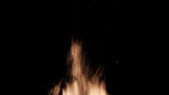 Fire Flames on a Black Background Bonfire Burning at Night