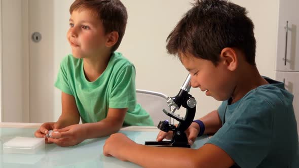 Two Curious Tanned Sibling Boys are Looking Through a Microscope