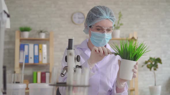 Portrait of a Woman Laboratory Assistant Conducts a Study of the Plant Using a Microscope