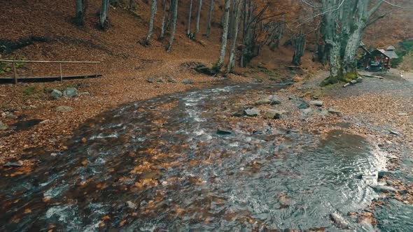 Transparent Mountain River Water Against Wooden Gazebo