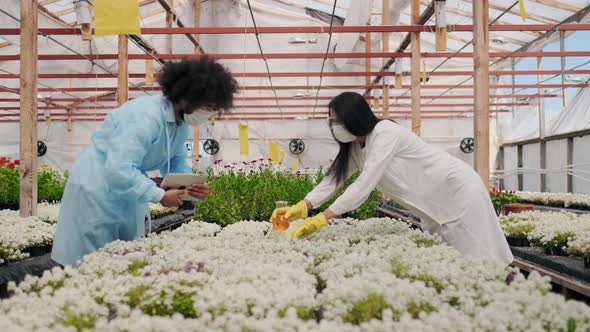 Young Agricultural Scientists in Medicine Robe with Tablet PC in Greenhouse