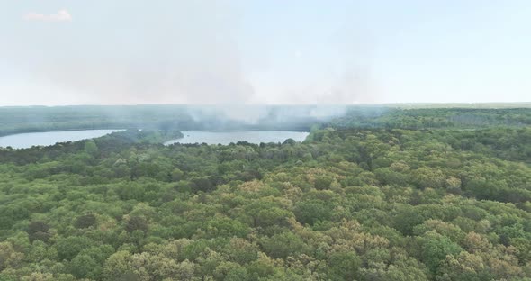 Large Smoke From Forest Fires of Wildfire is Burning Trees Dry Grass