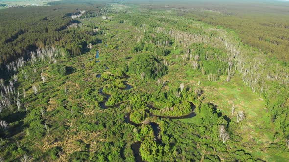 Aerial Drone  Video of Winding River