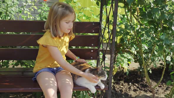 Little Girl Strokes Stray Cat Sitting on a Bench with Beautiful Landscaping