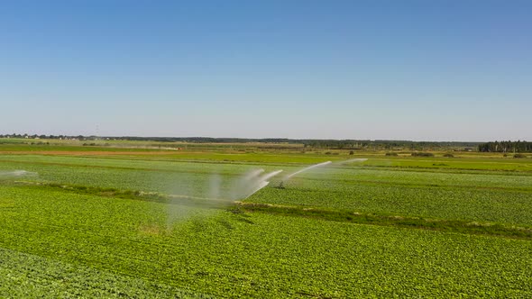 Irrigation System on Agricultural Land