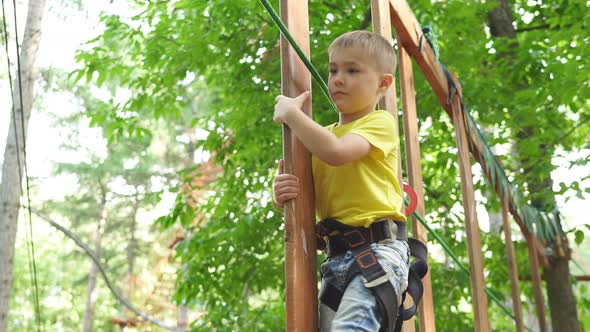 Cute Little Boy Moves on Ropes Between Trees in a Rope Town