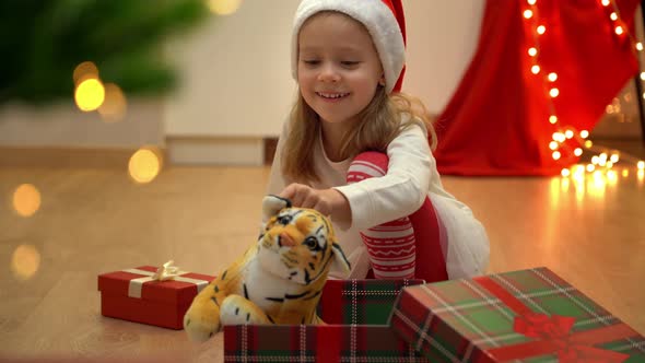 Happy Little Girl Sits with Open Box and Plays Toy Tiger Next to Christmas Tree