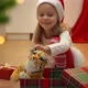 Happy Little Girl Sits with Open Box and Plays Toy Tiger Next to Christmas Tree - VideoHive Item for Sale