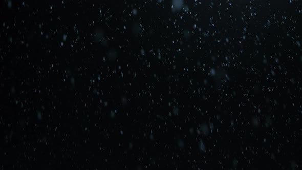 first snow at night against a dark sky