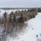 Winter Forest Landscape. - VideoHive Item for Sale