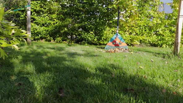 Fallen leaves in and rake on still green grass background. Autumn landscape.