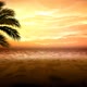 Palm On The Cloudy Beach 3 - VideoHive Item for Sale