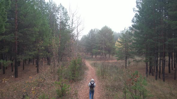 Lonely Traveler In The Foggy Forest